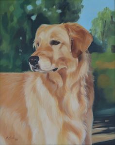 Dog pet portrait