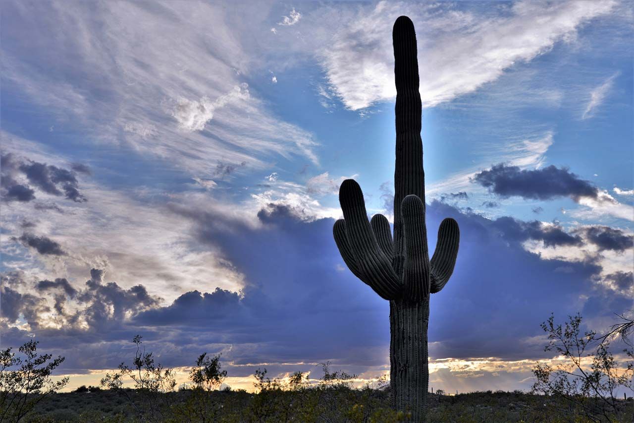 Tucson Horizon